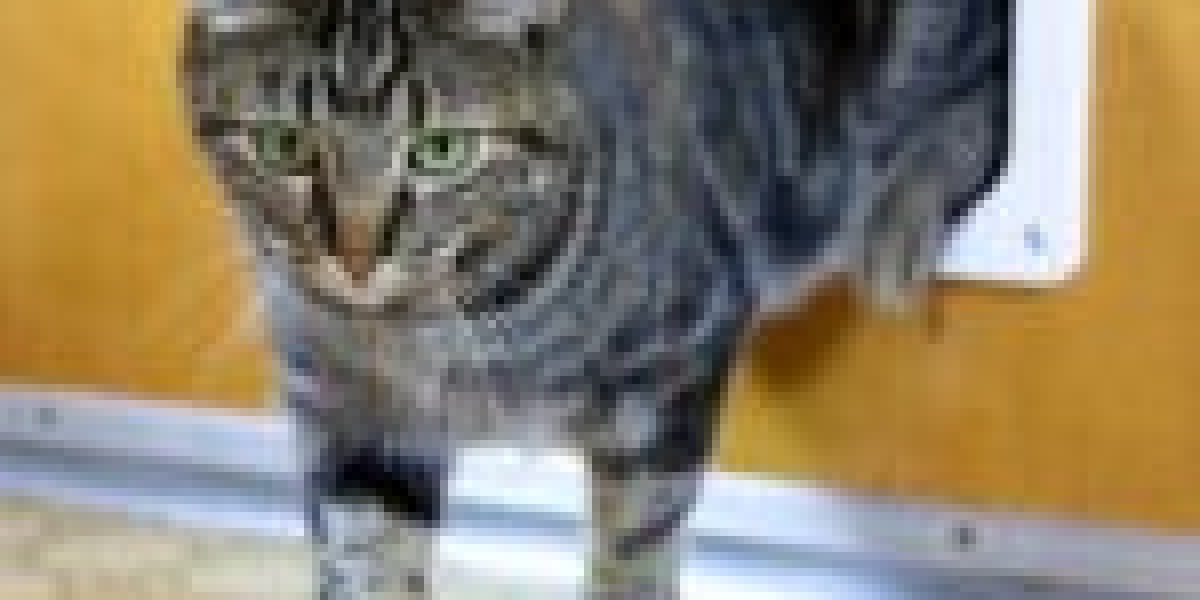 10 Things You Learned From Kindergarden That'll Help You With Custom Cat Flap Installation