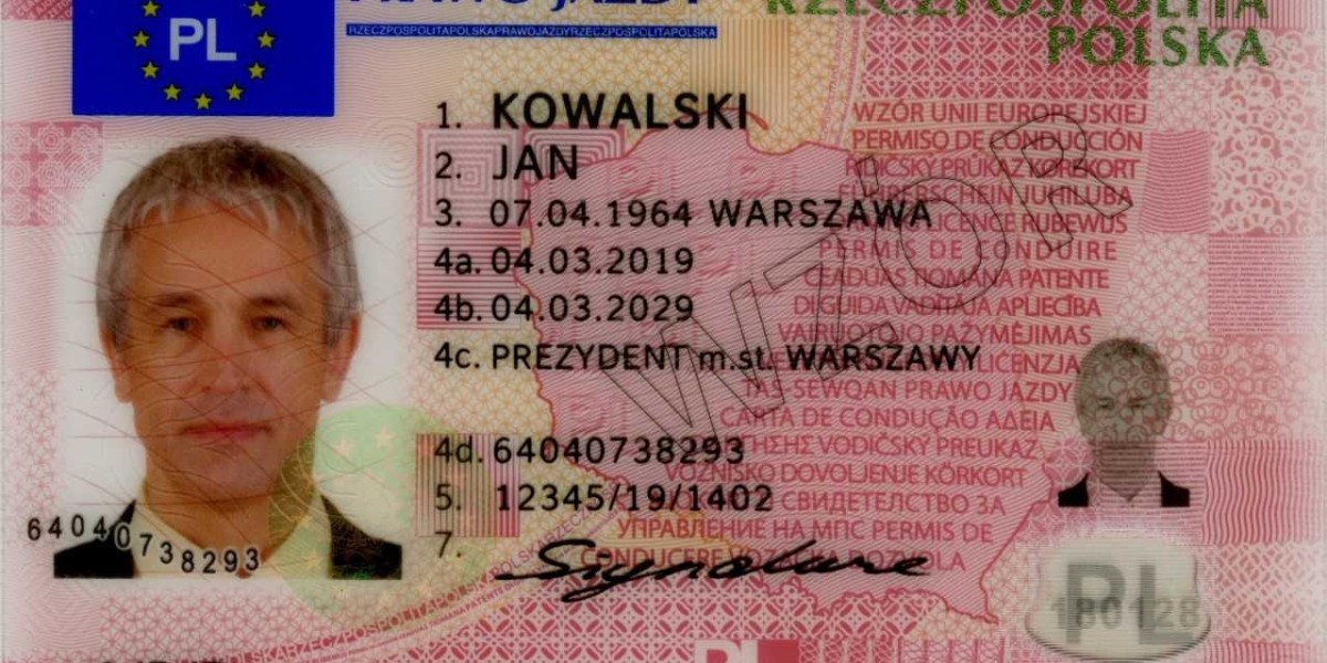 Jazda Bez Egzaminu: Navigating the Roads Without a Standard Driving Test